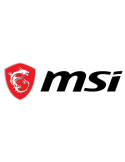 MSI